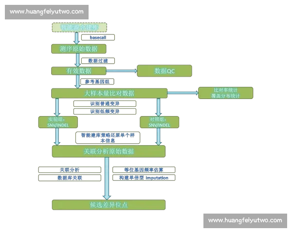 体育数据分析系统学习路径与实践技能提升指南 体育数据分析系统学习路径与实践技能提升指南